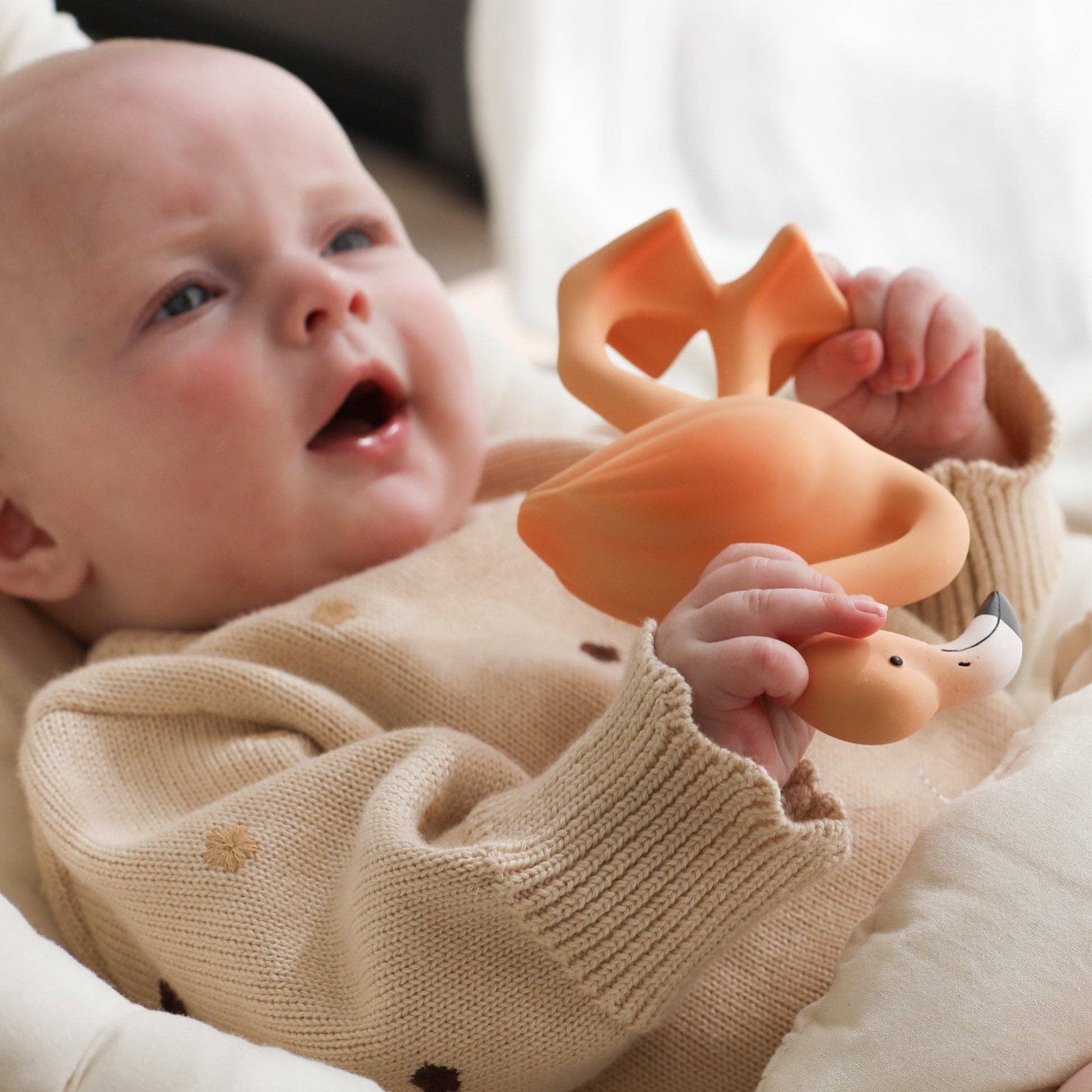 Lingo the Flamingo Teether & Bath Toy
