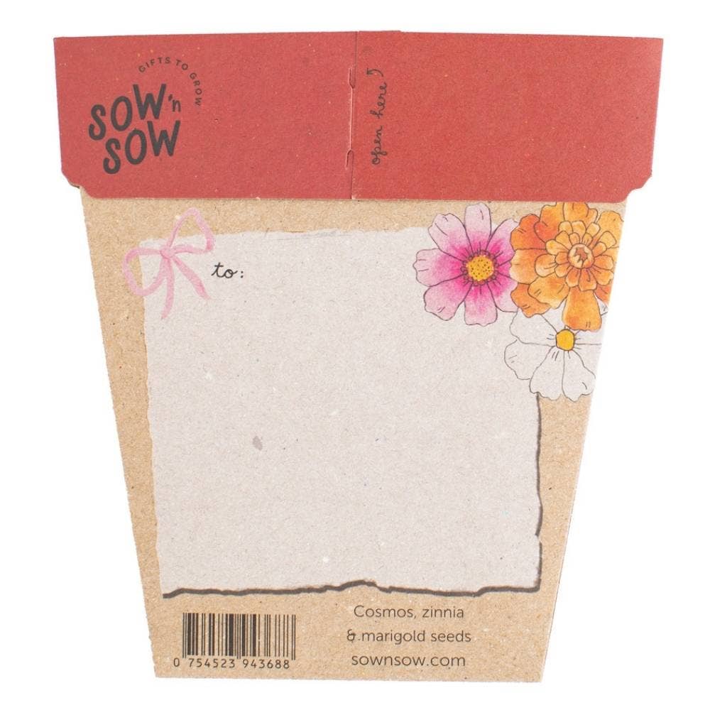 Xmas Blooms - Gift of Seeds