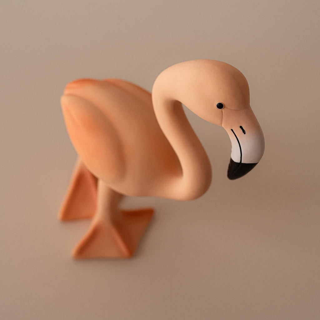 Lingo the Flamingo Teether & Bath Toy
