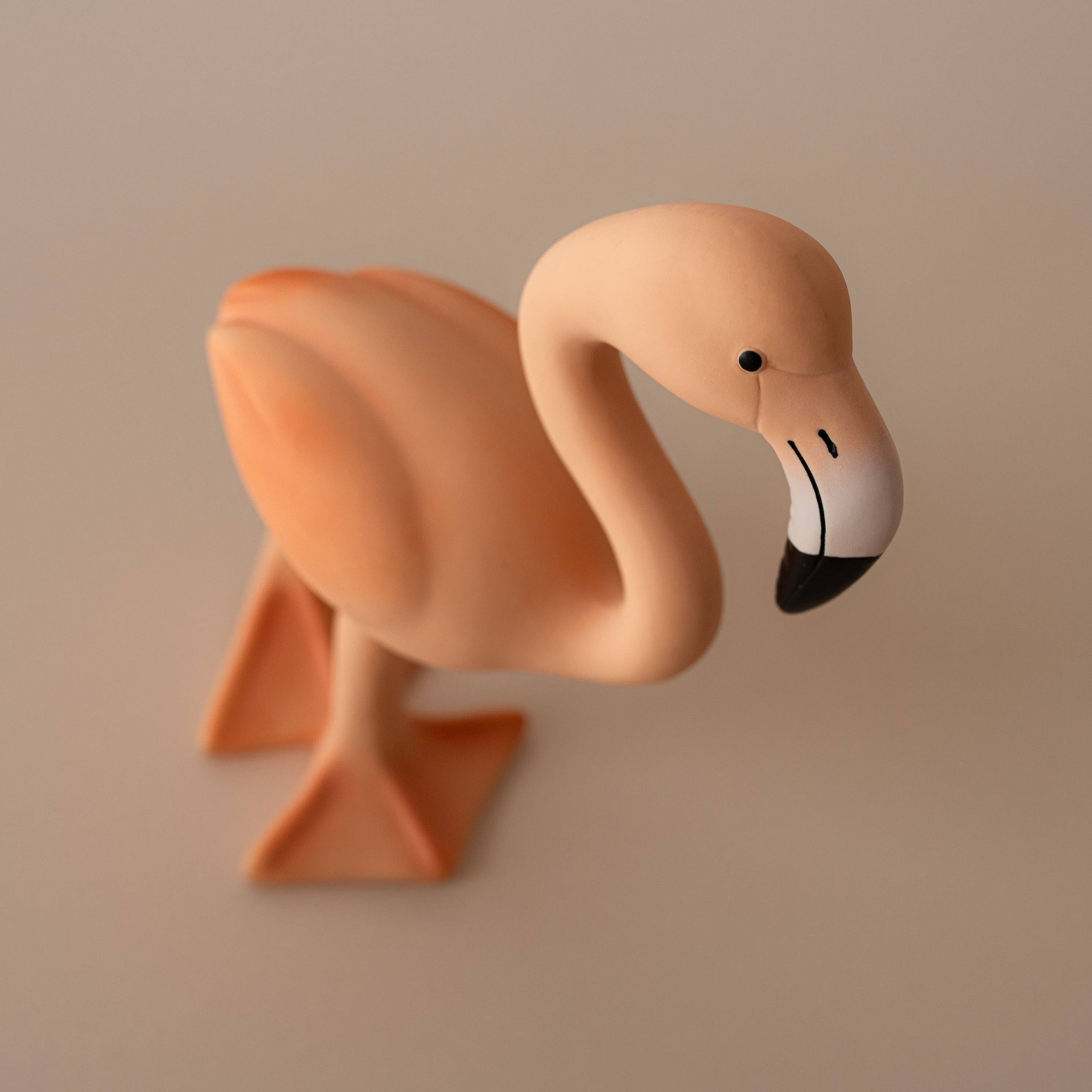 Lingo the Flamingo Teether & Bath Toy
