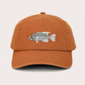 Dhufish Lid