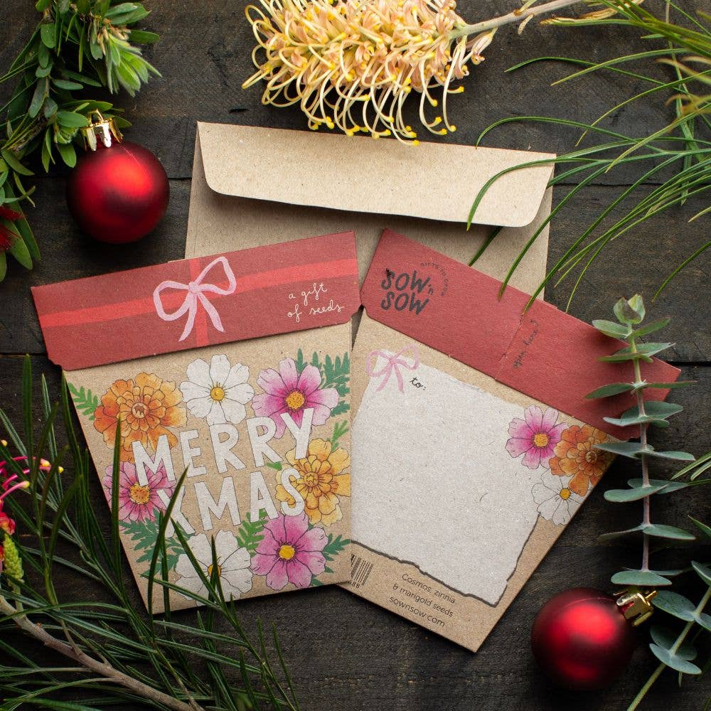 Xmas Blooms - Gift of Seeds