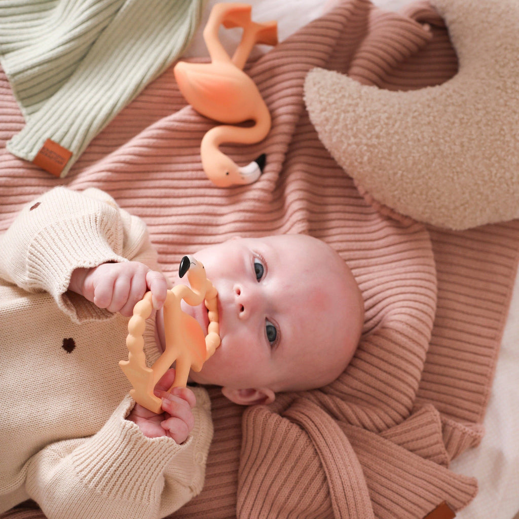Lingo Mini Teether & Bath Toy