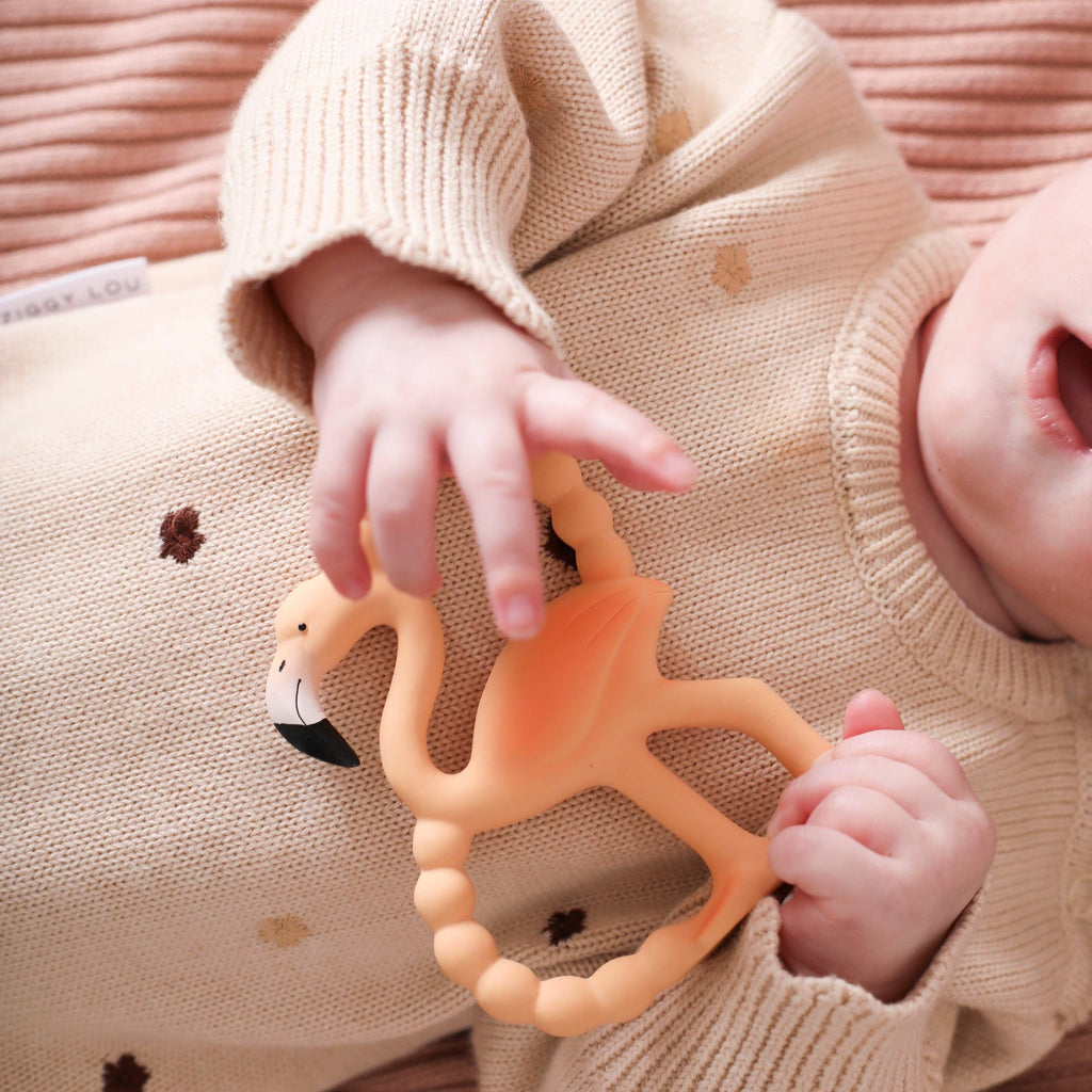 Lingo Mini Teether & Bath Toy
