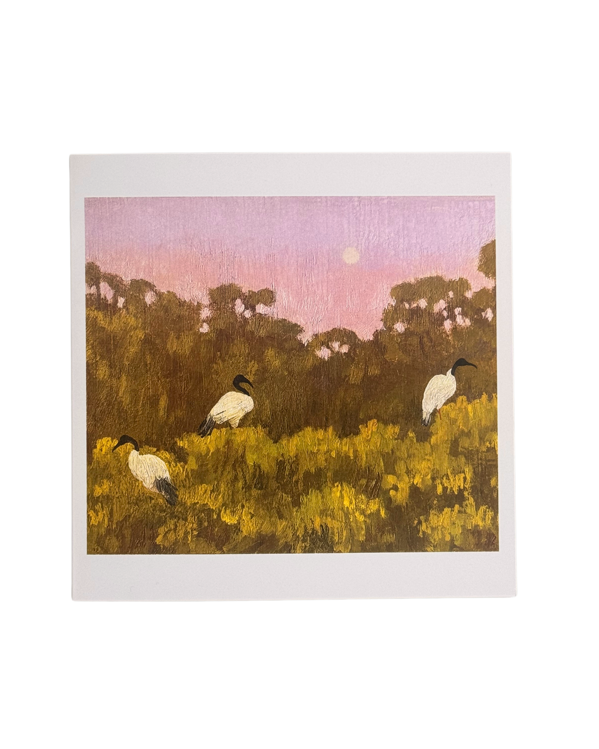 Ibis Moon Card
