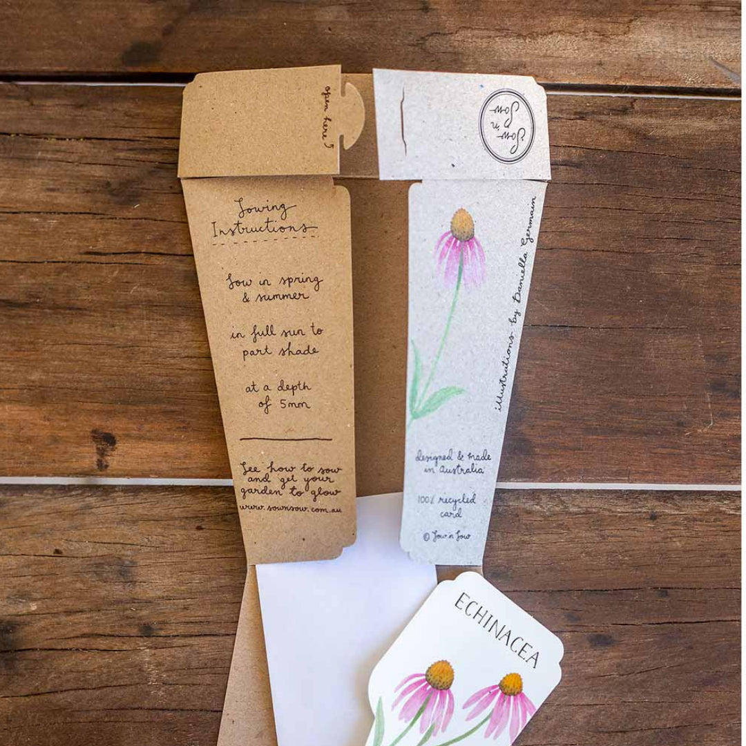 Echinacea