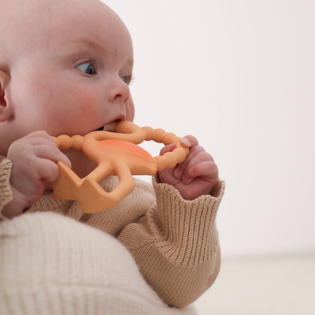 Lingo Mini Teether & Bath Toy