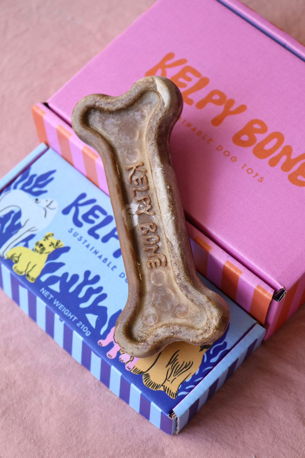 Kelpy Bone Single Boxed