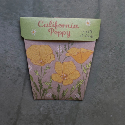 California Poppy