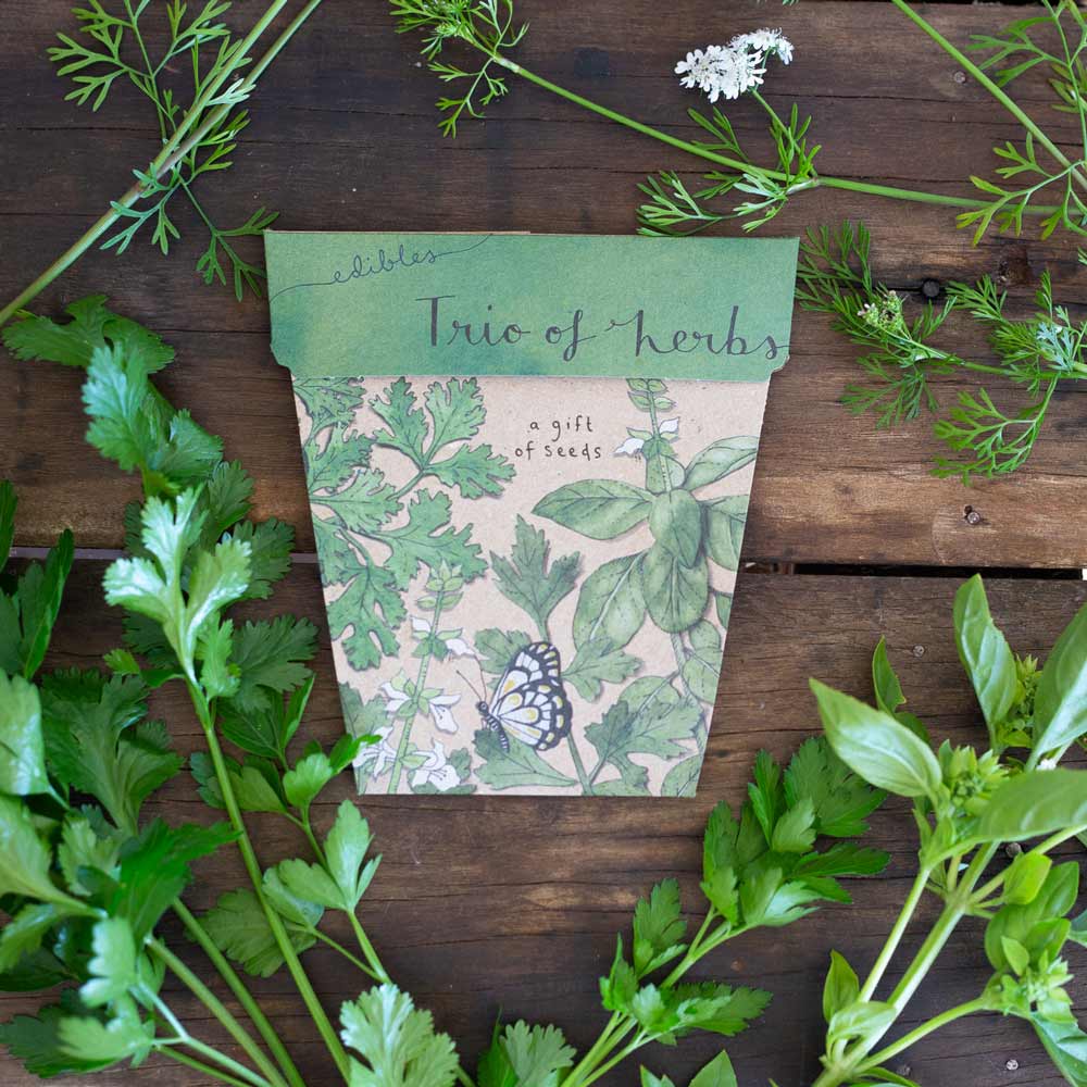 Trio Of Herbs