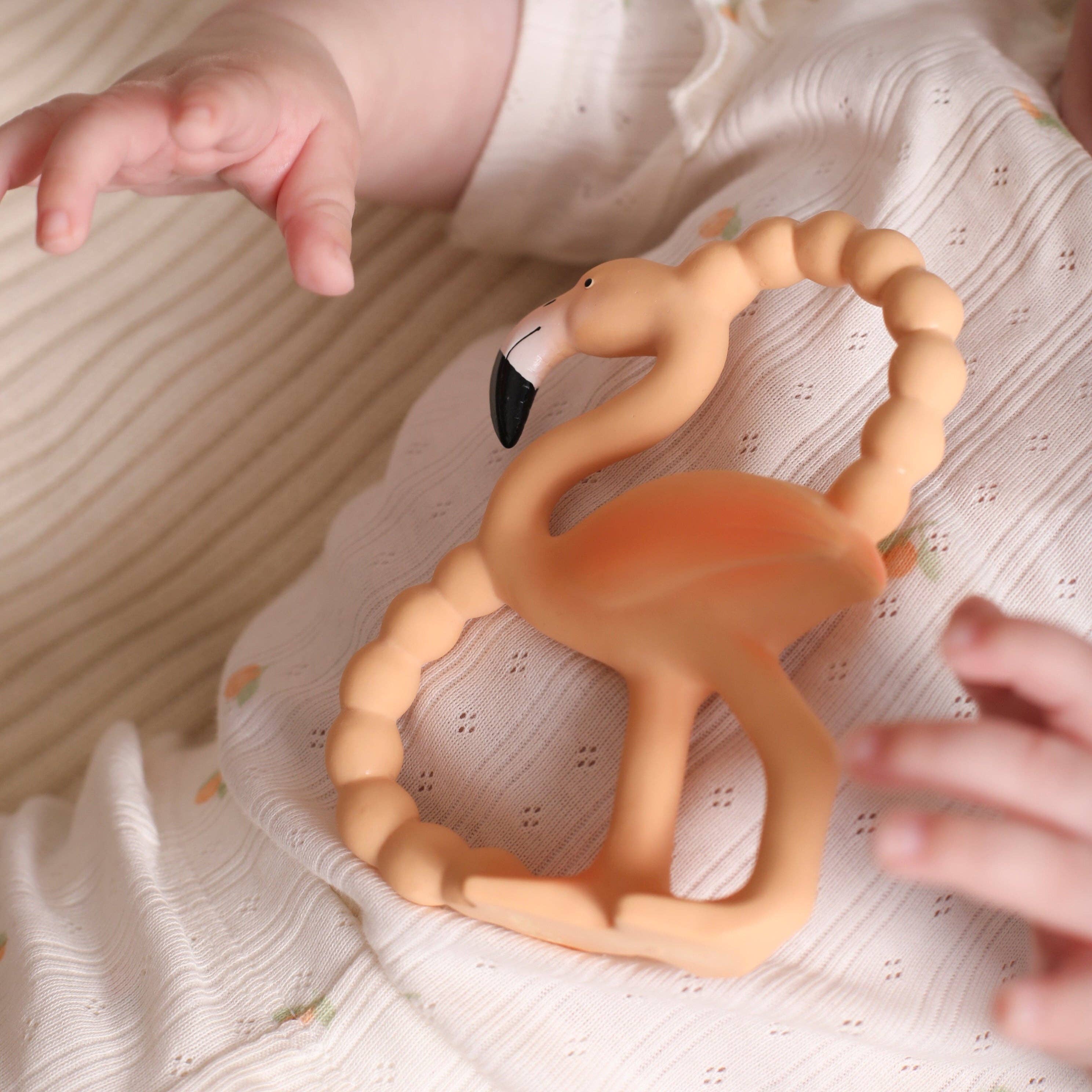 Lingo Mini Teether & Bath Toy