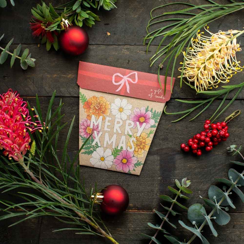 Xmas Blooms - Gift of Seeds