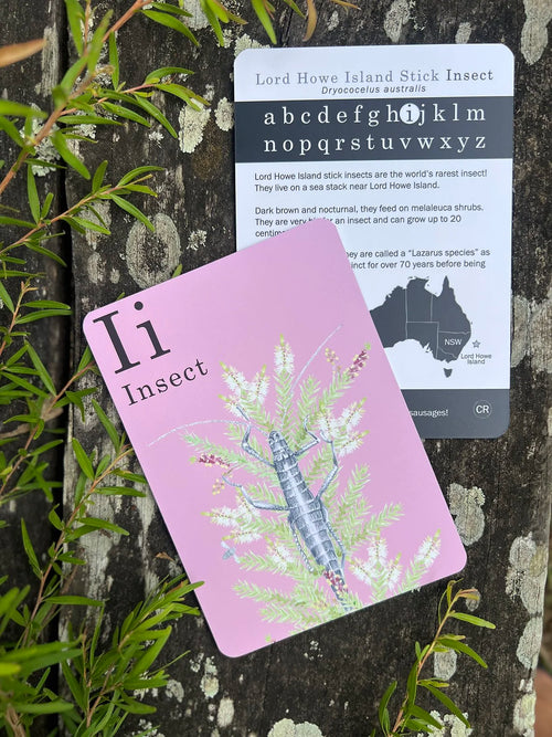 Animal Alphabet Flash Cards