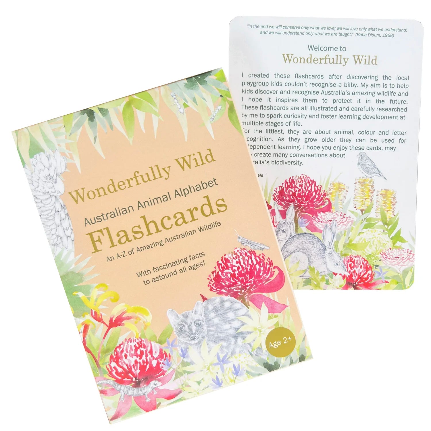 Animal Alphabet Flash Cards