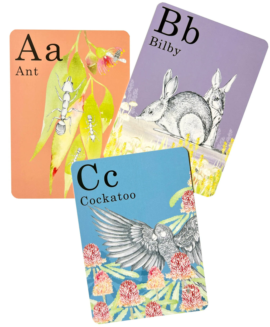 Animal Alphabet Flash Cards