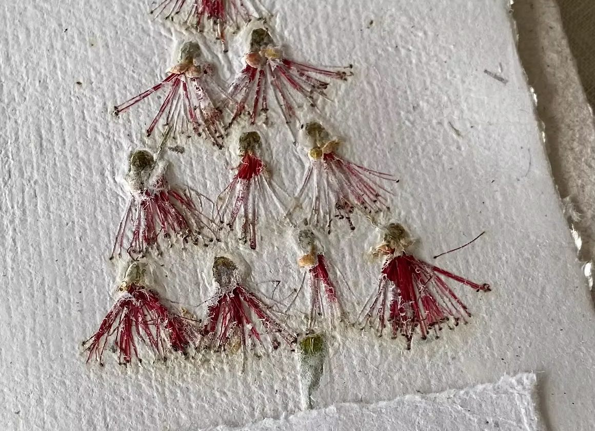 Christmas Handmade Paper Cards