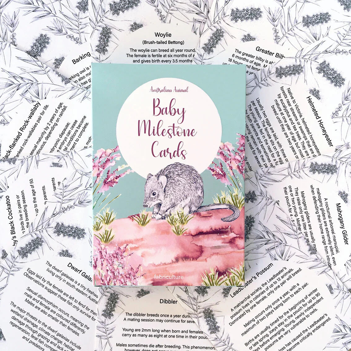 Baby Milestone Cards
