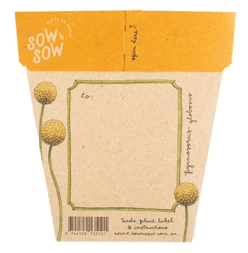 Billy Buttons - Gift of Seeds