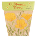 California Poppy - Gift of Seeds