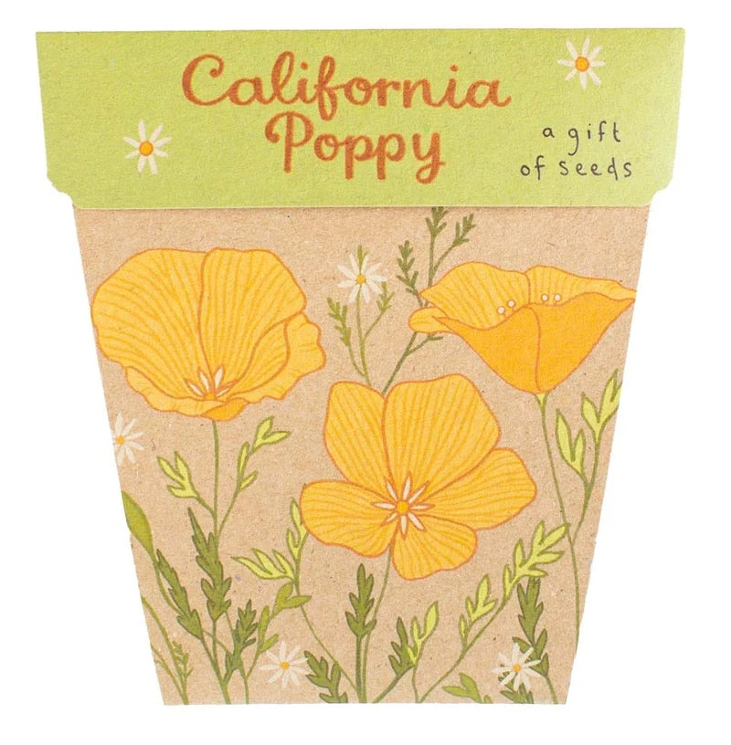 California Poppy - Gift of Seeds