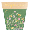 Christmas Herbs - Gift of Seeds