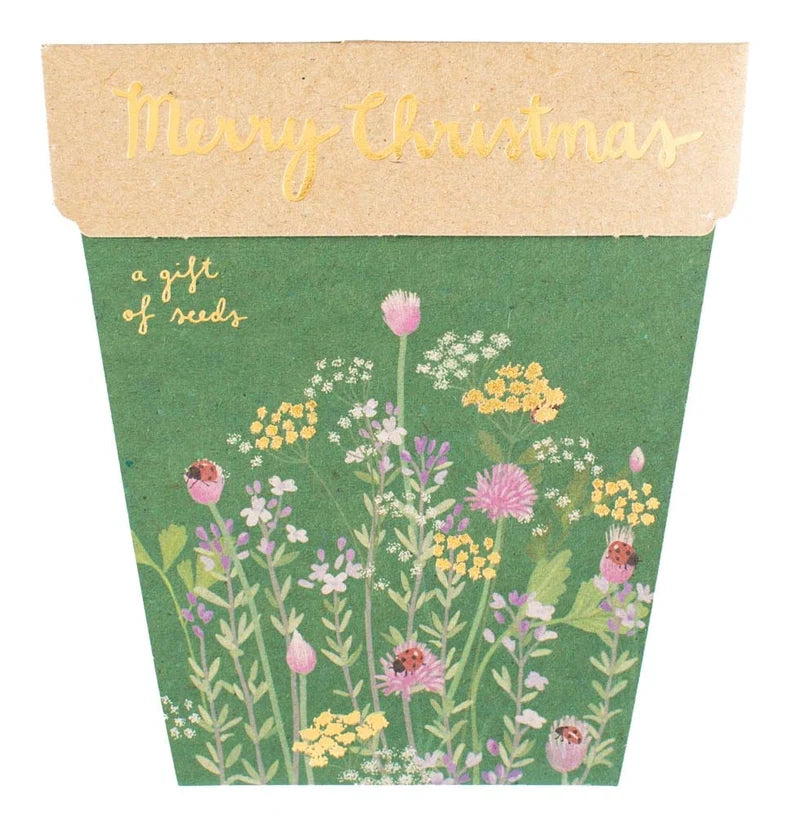 Christmas Herbs - Gift of Seeds