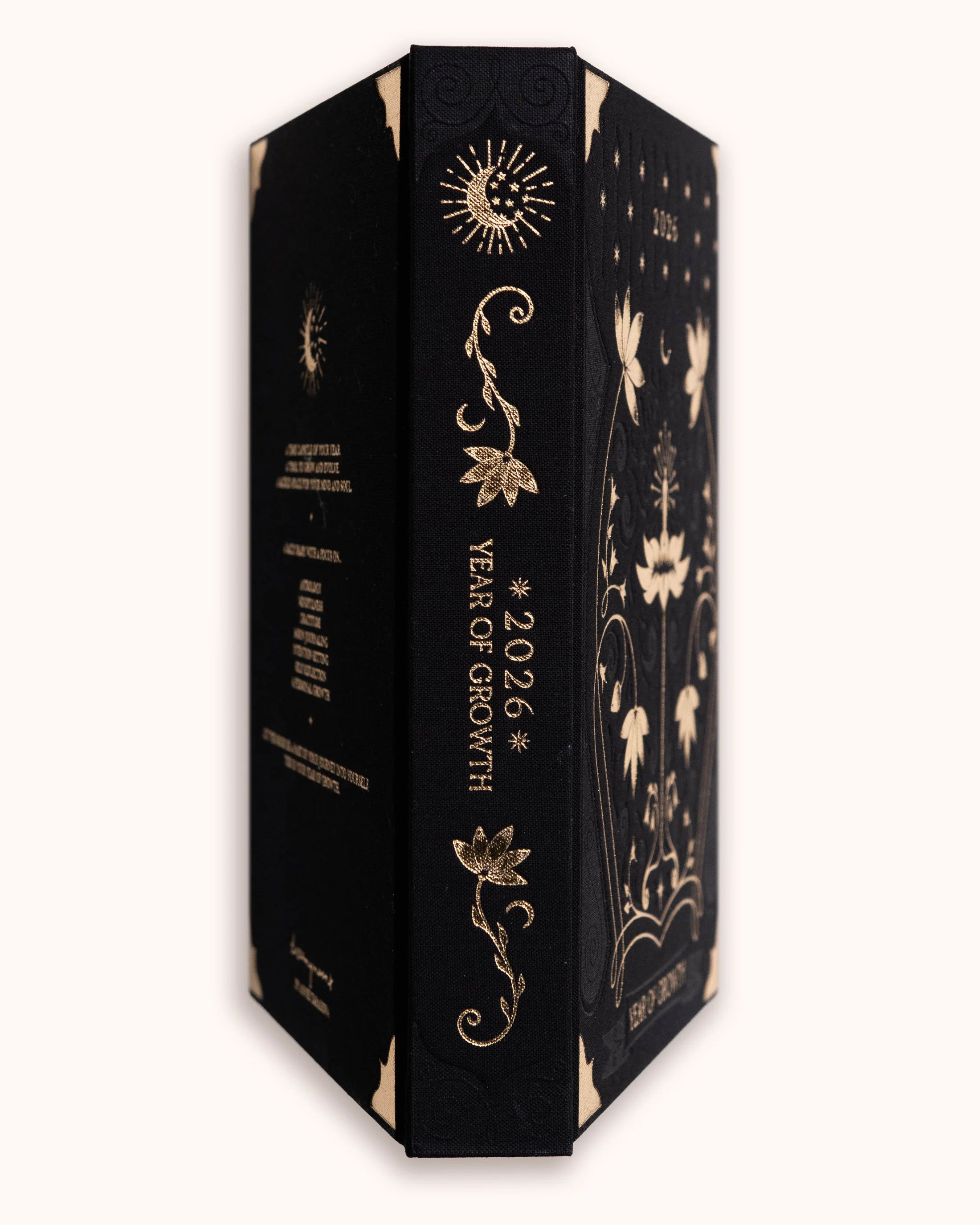 Dreamy Moons Year of Growth Diary 2026