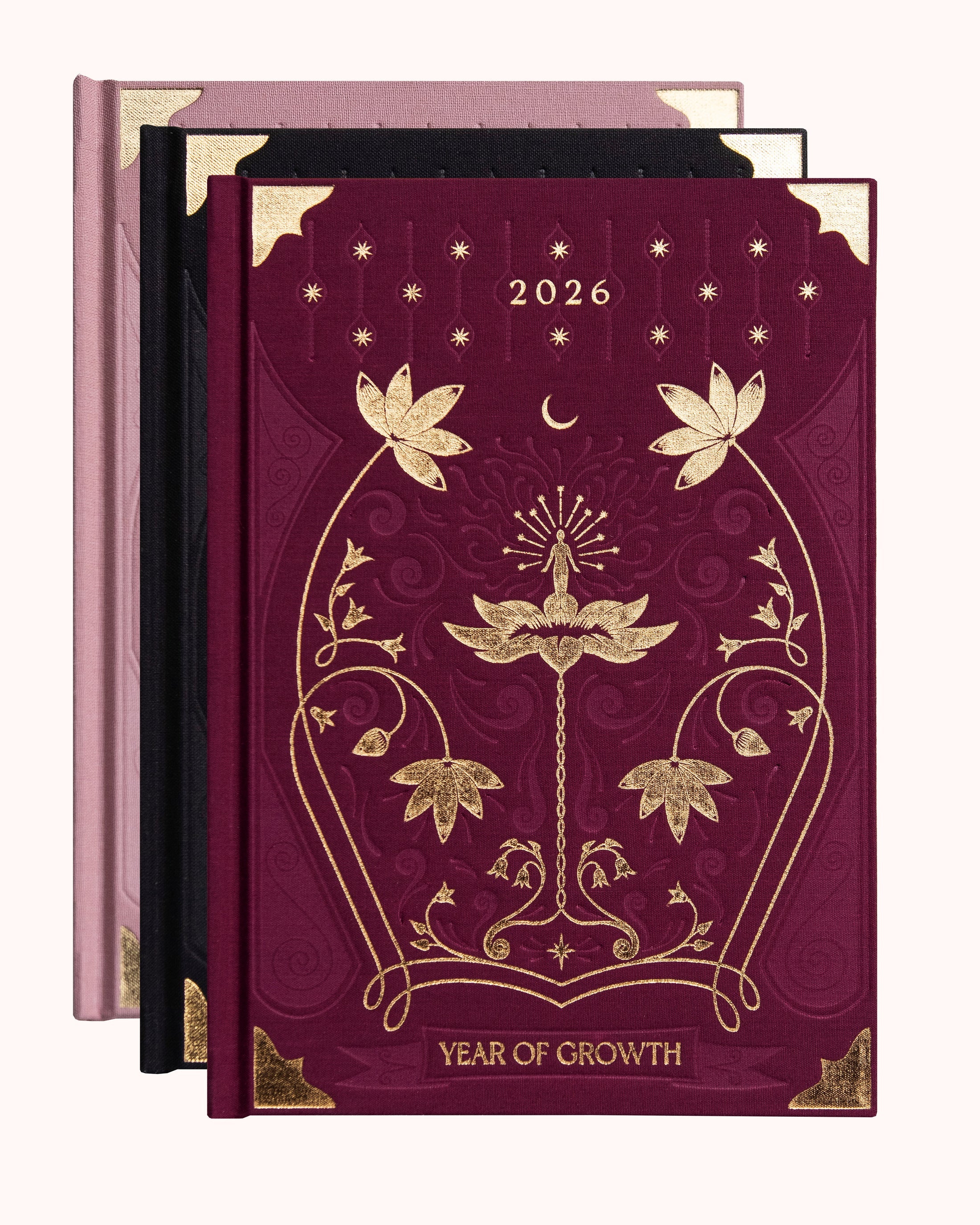 Dreamy Moons Year of Growth Diary 2026