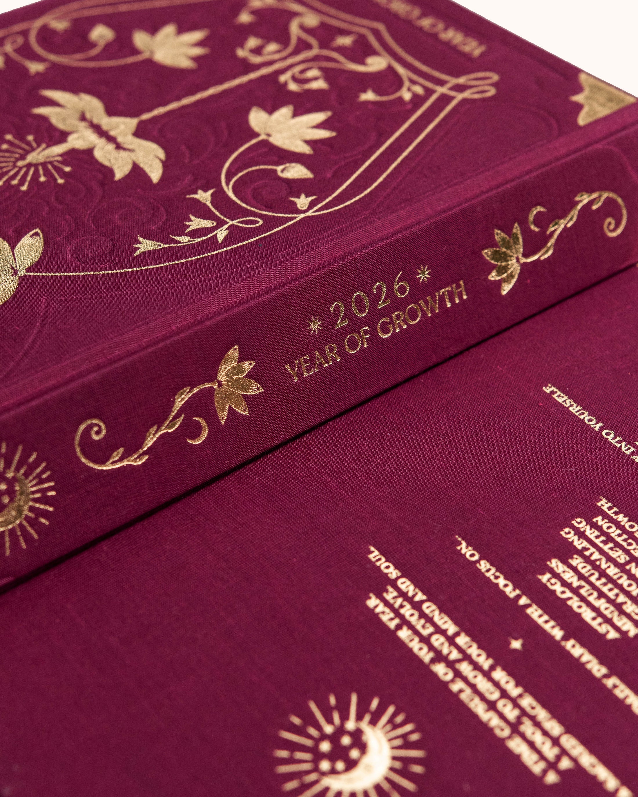 Dreamy Moons Year of Growth Diary 2026