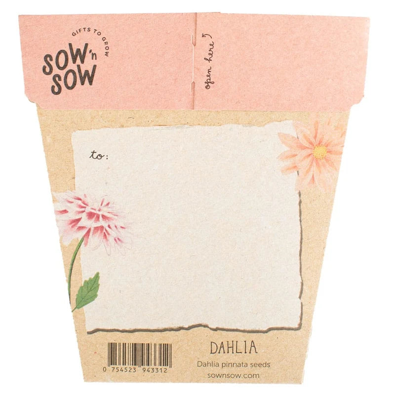 Dahlia - Gift of Seeds