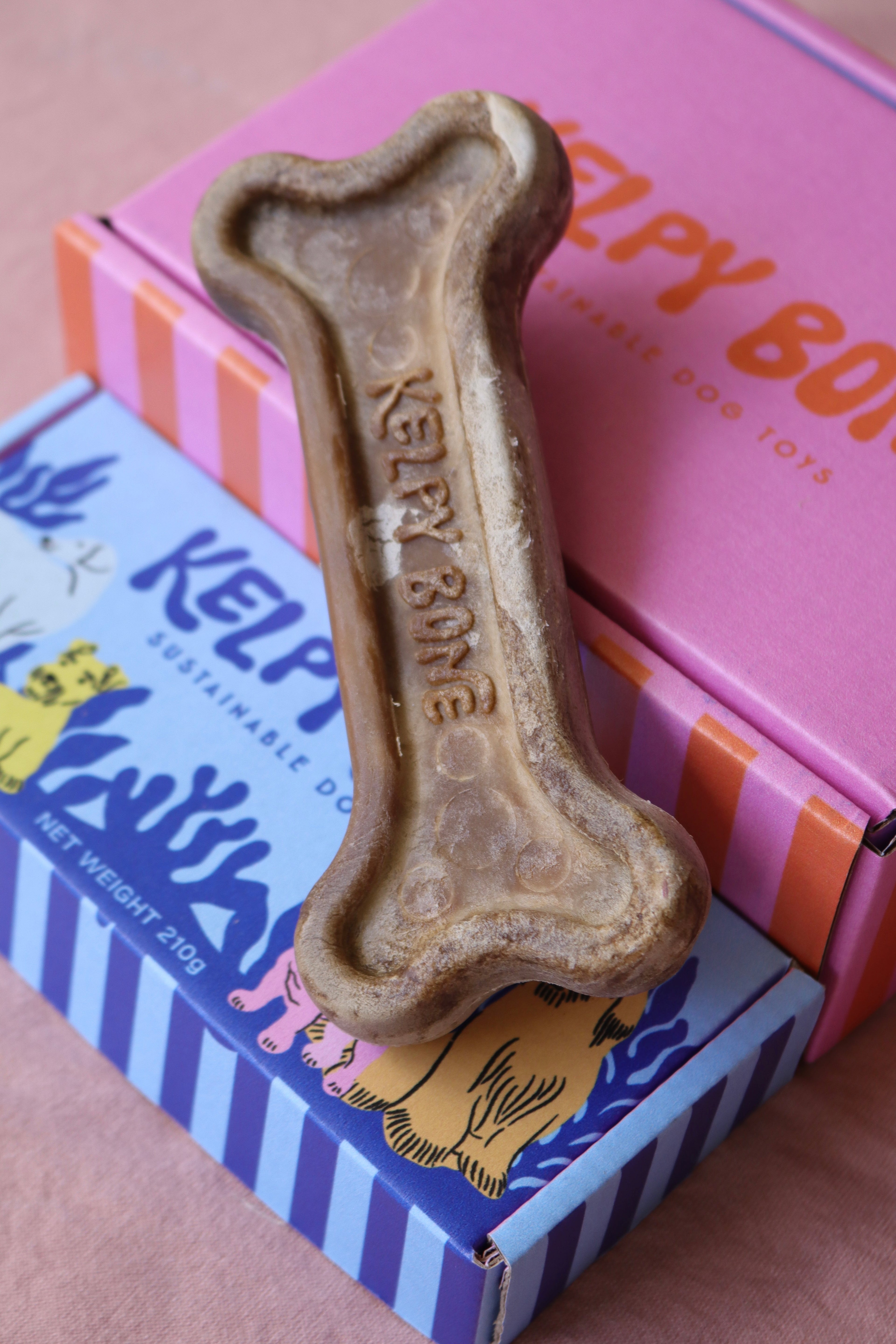 Kelpy Bone Box of 6