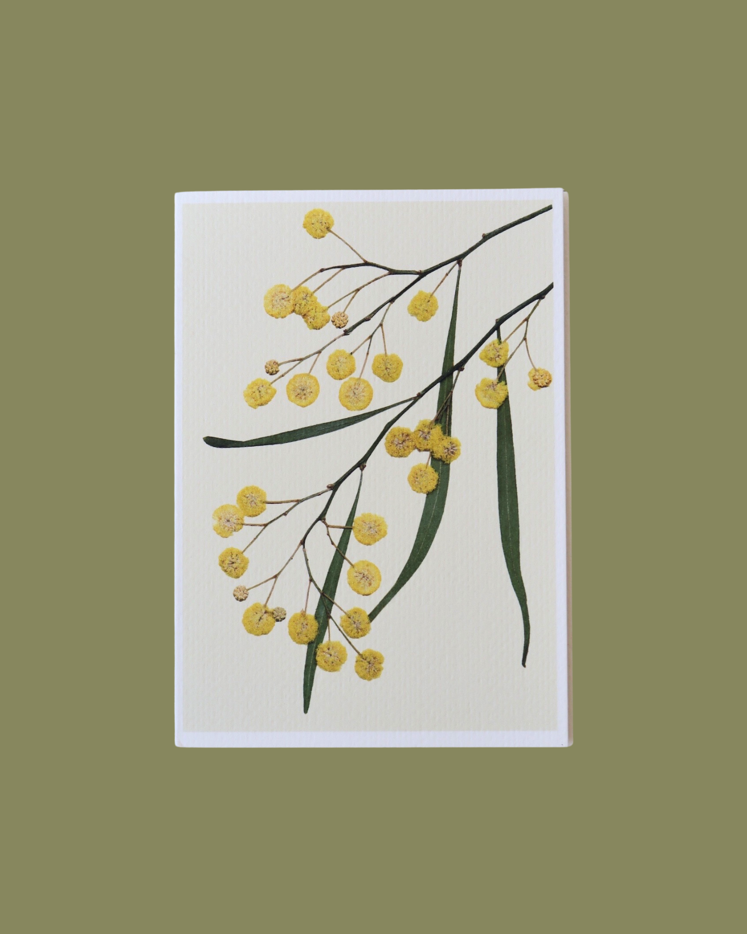 Golden Wattle Pressed Flower Card