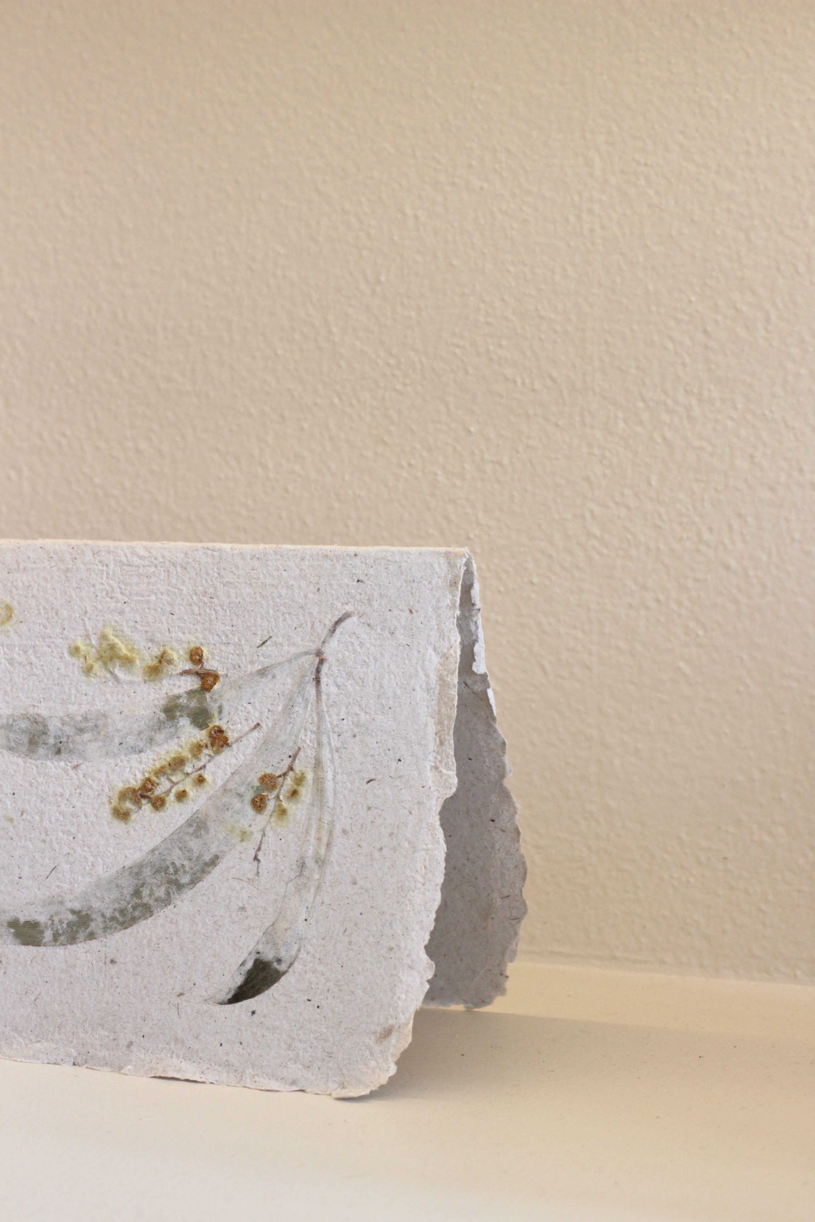 Plant Me Handmade Paper Cards