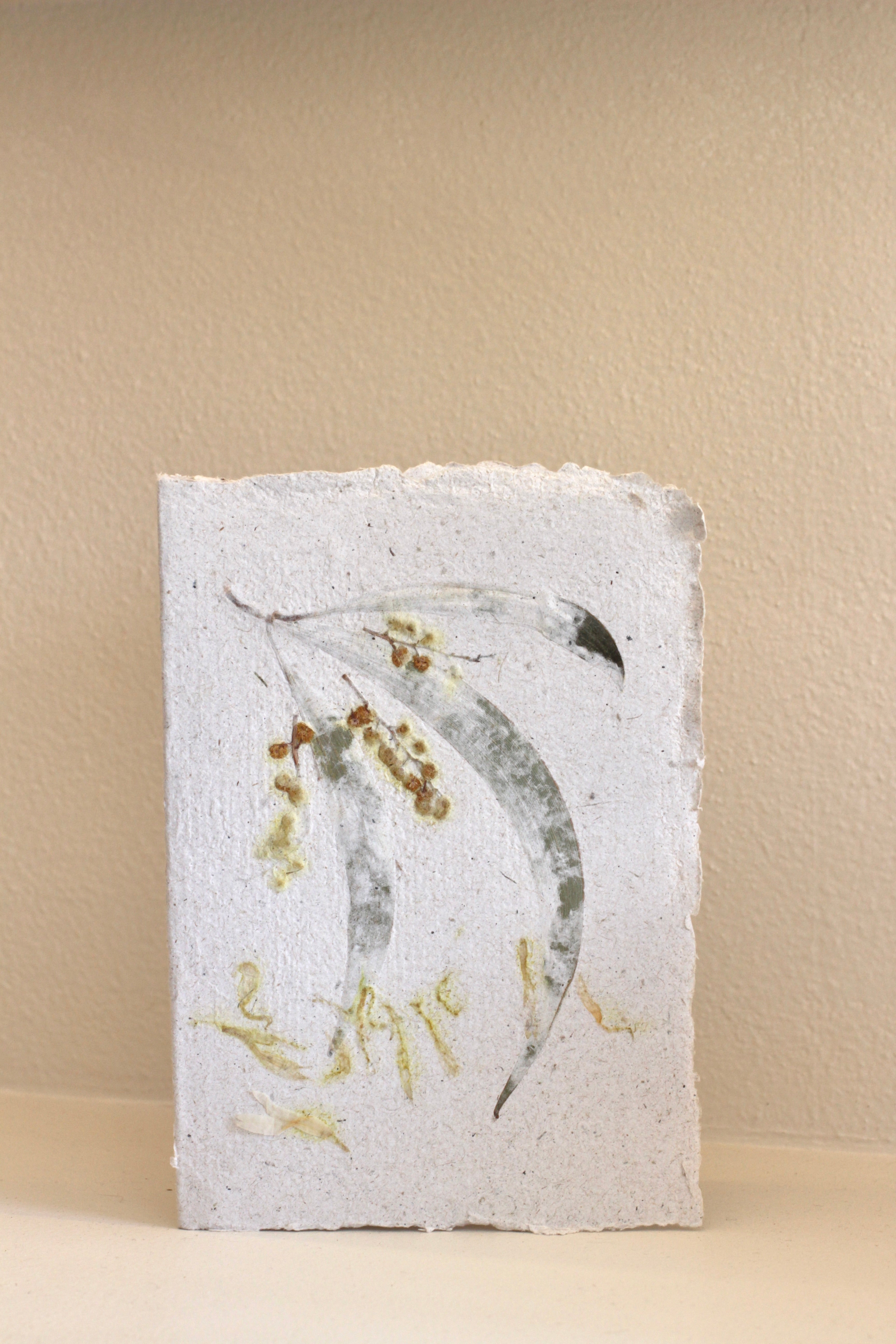 Plant Me Handmade Paper Cards