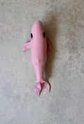 Small Whale