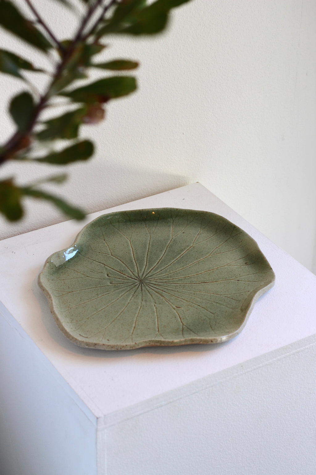 Lotus Plate