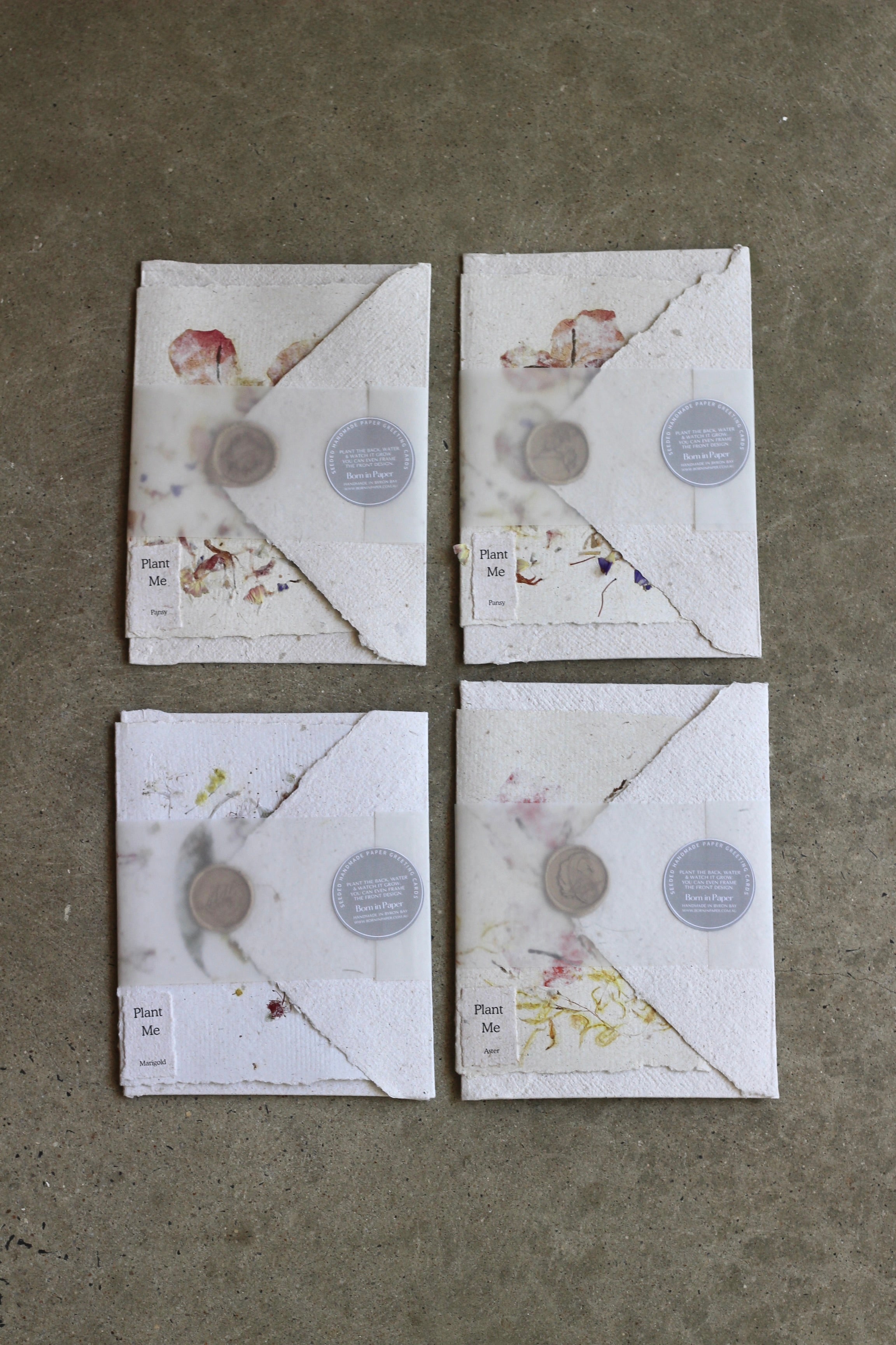 Plant Me Handmade Paper Cards