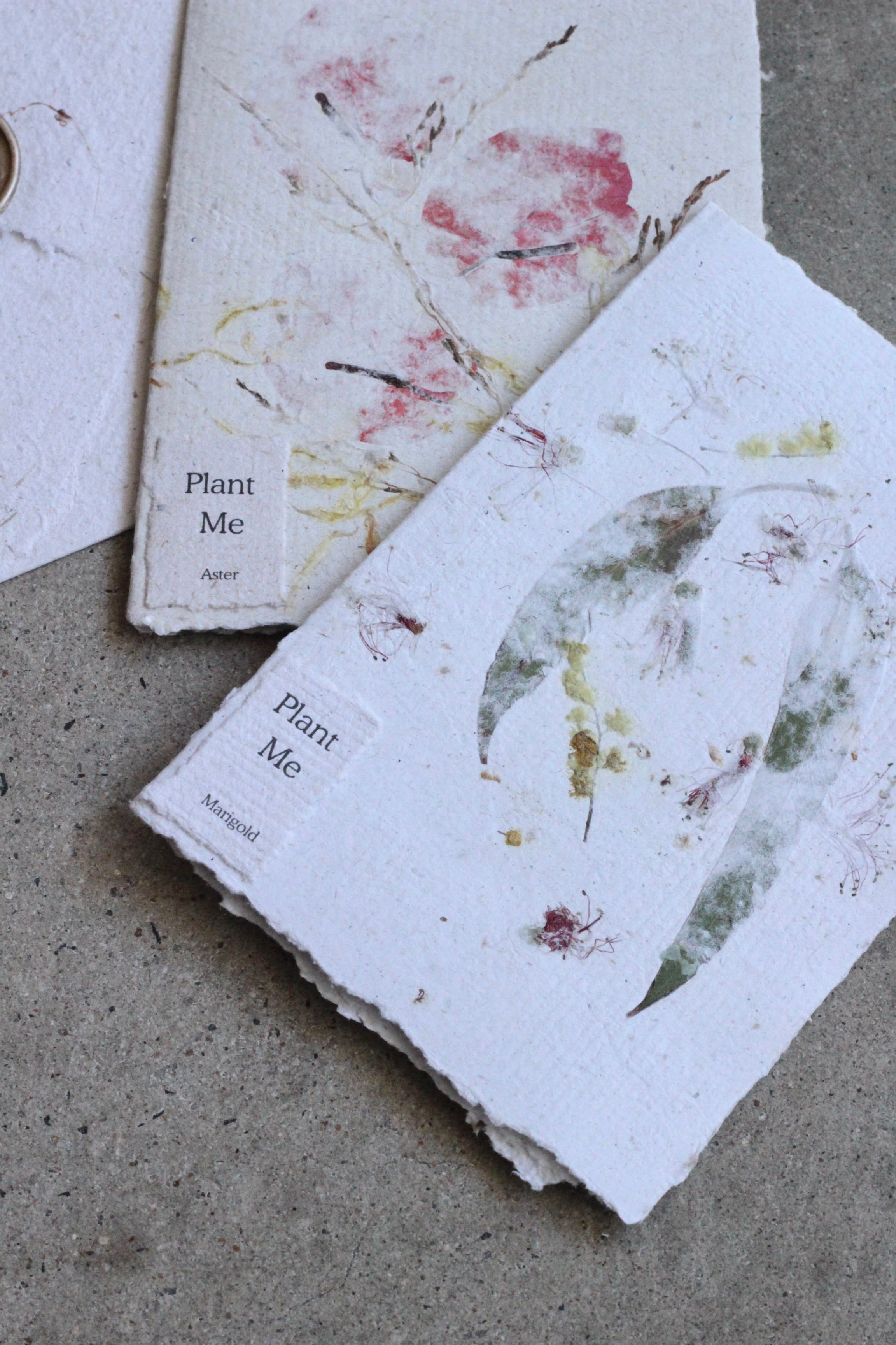 Plant Me Handmade Paper Cards