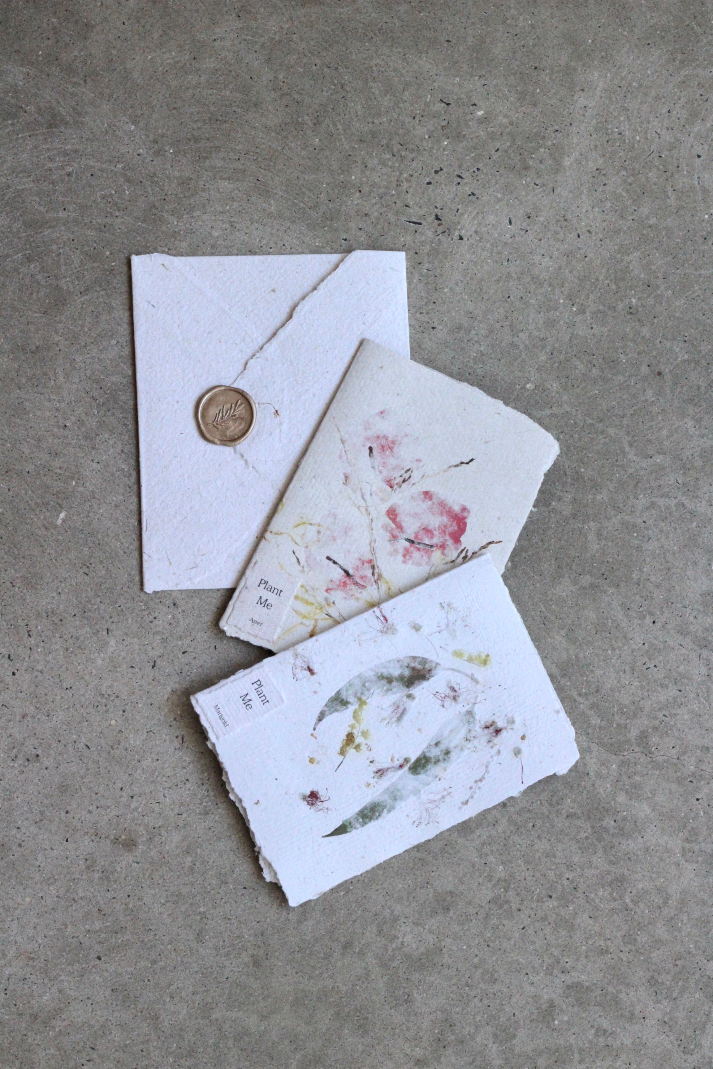 Plant Me Handmade Paper Cards
