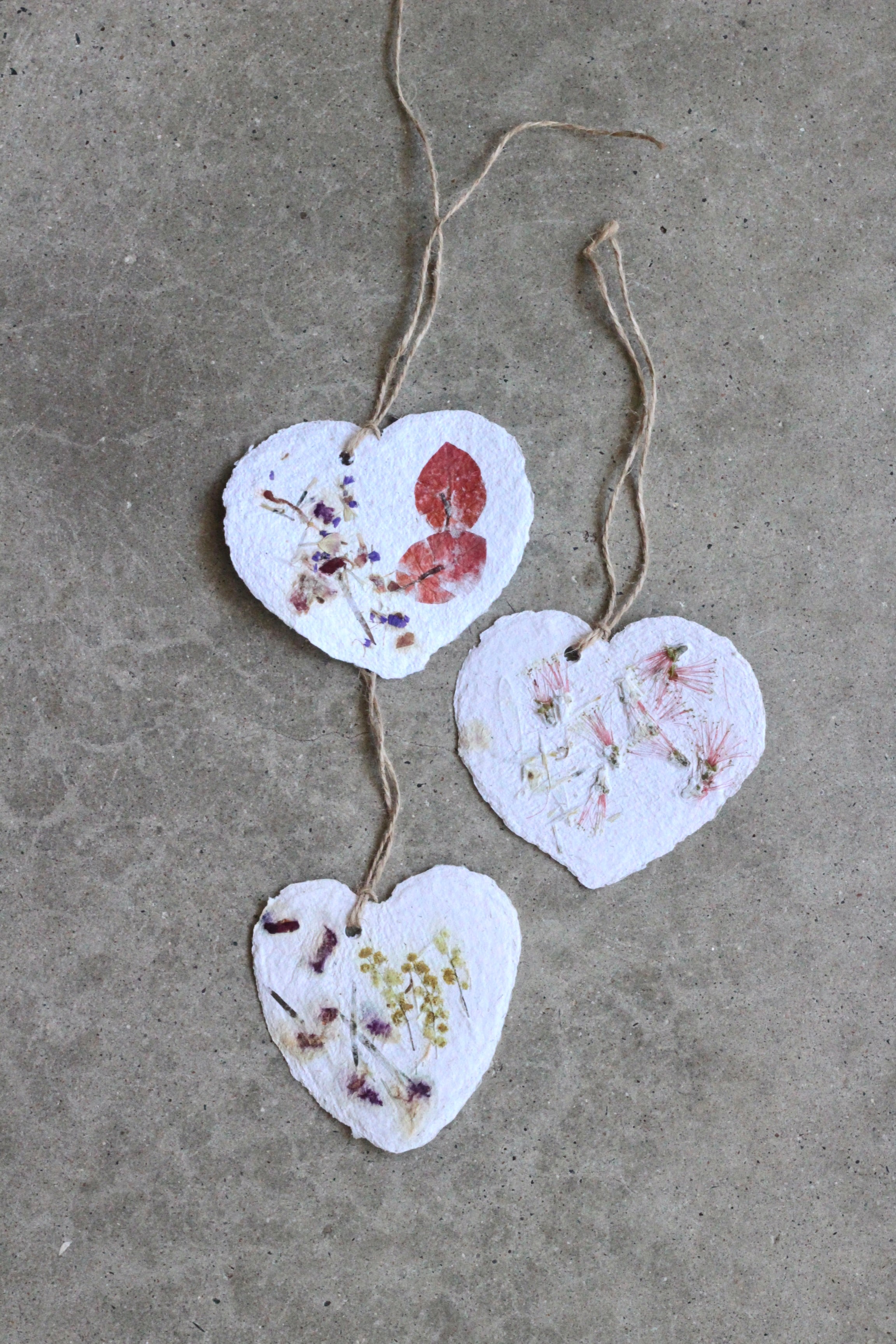 Plantable Heart Gift Tags