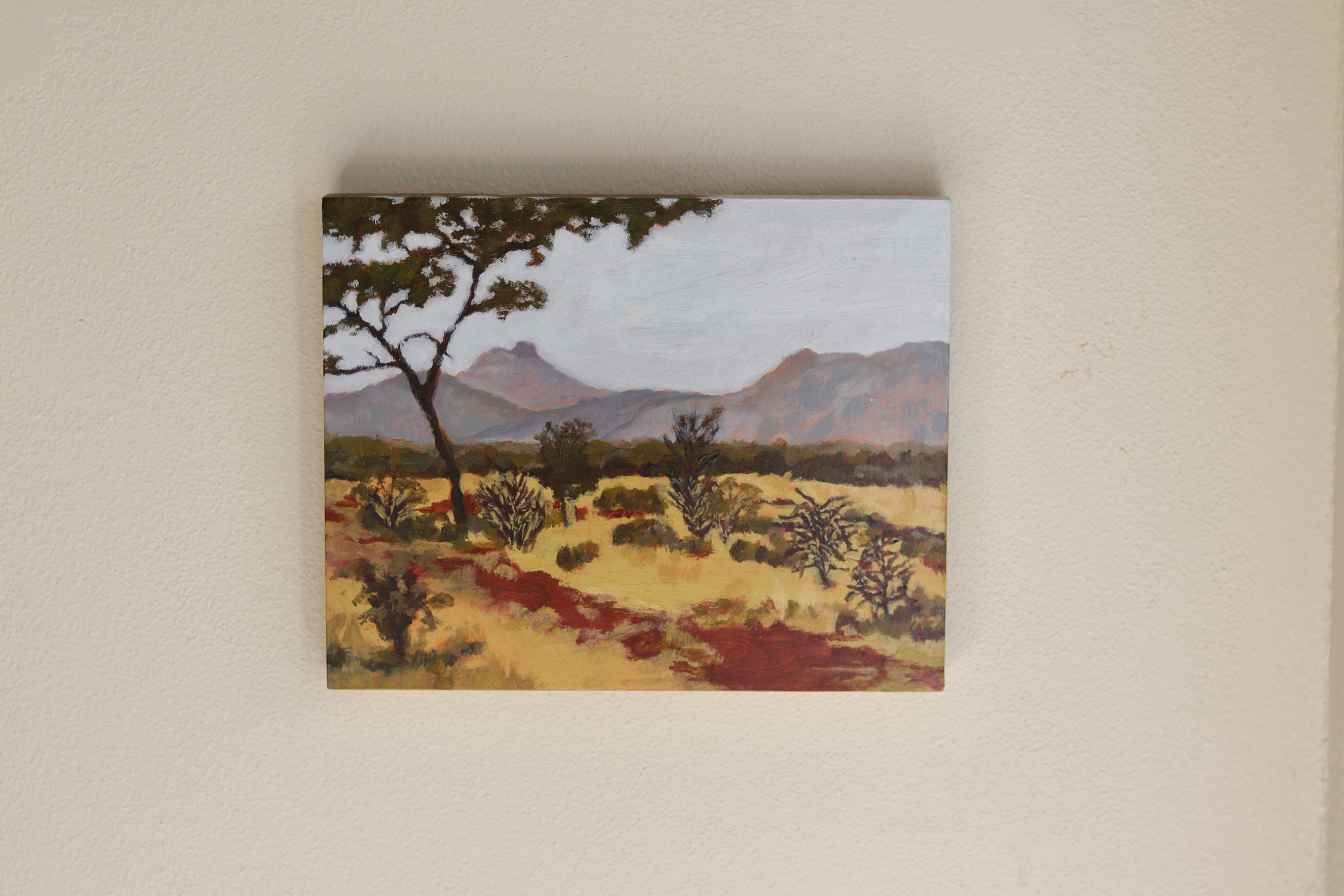 West McDonald Ranges - Sharon McIlwain