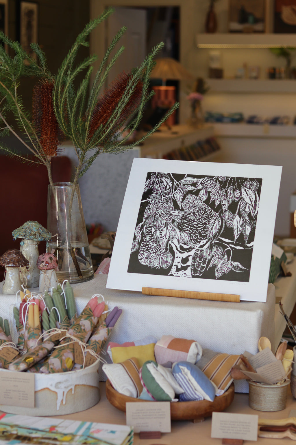 Gang Gang & Gumnuts (Unframed) - Sue Chakos