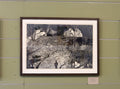 The Bay In The Moonlight - Sue Chakos