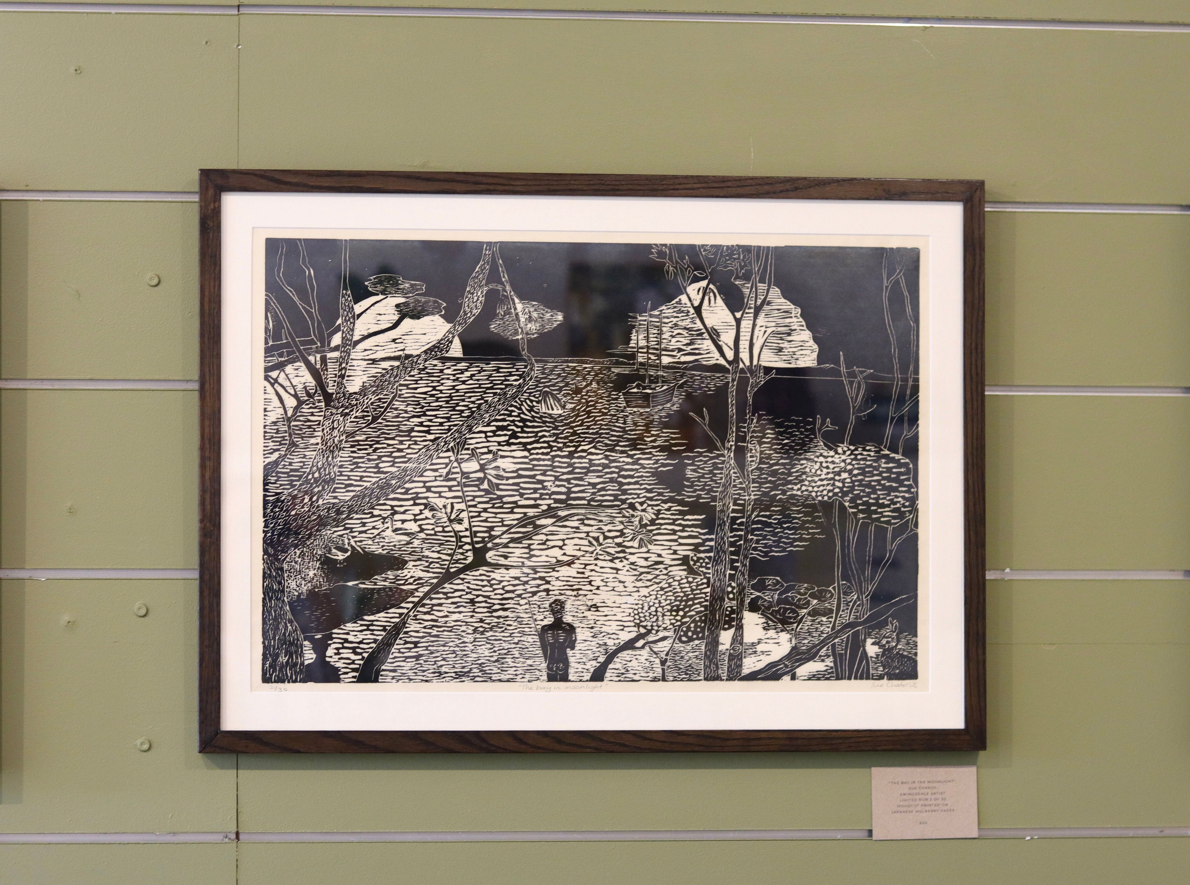 The Bay In The Moonlight - Sue Chakos
