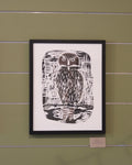 Barking Owl - Sue Chakos