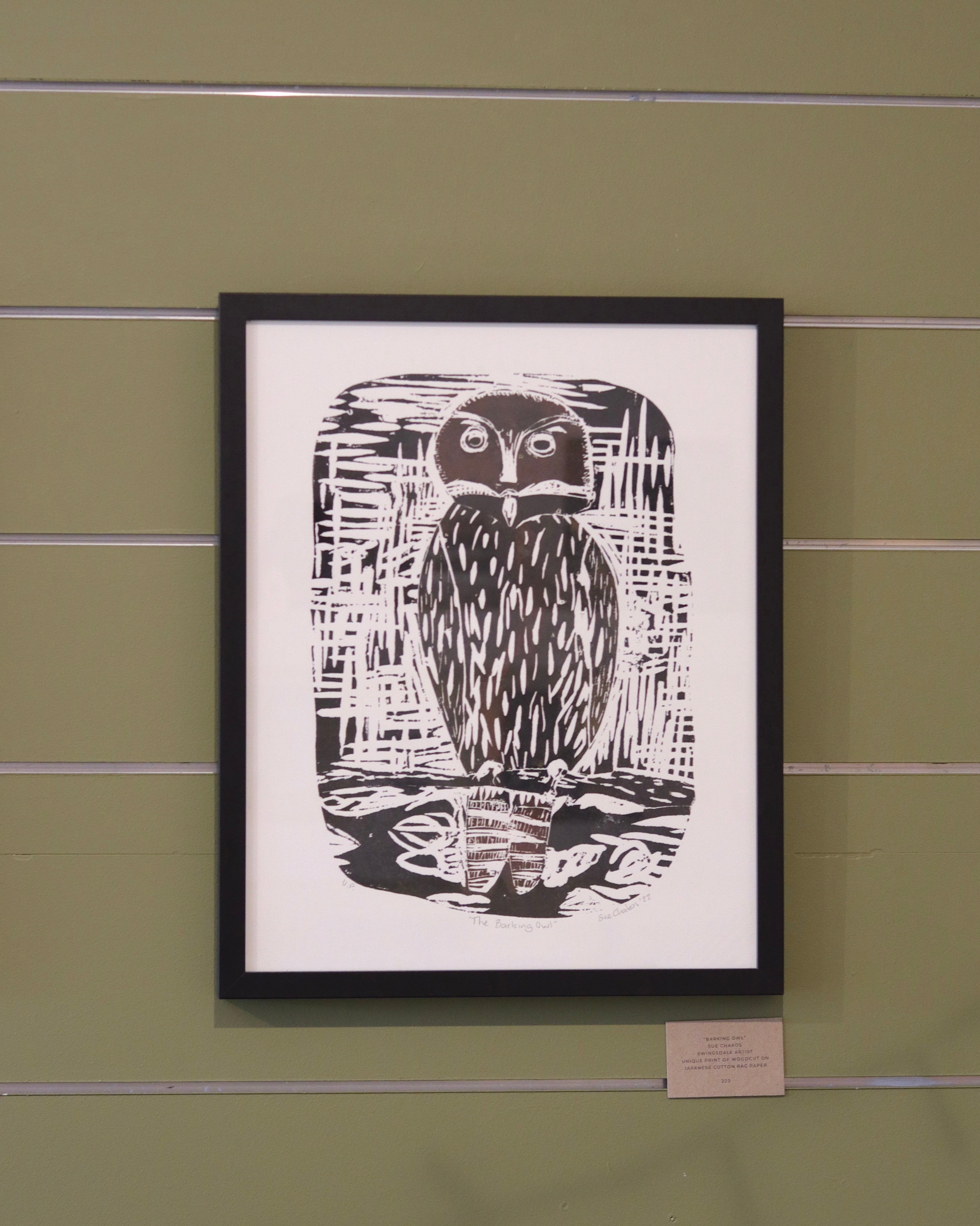 Barking Owl - Sue Chakos