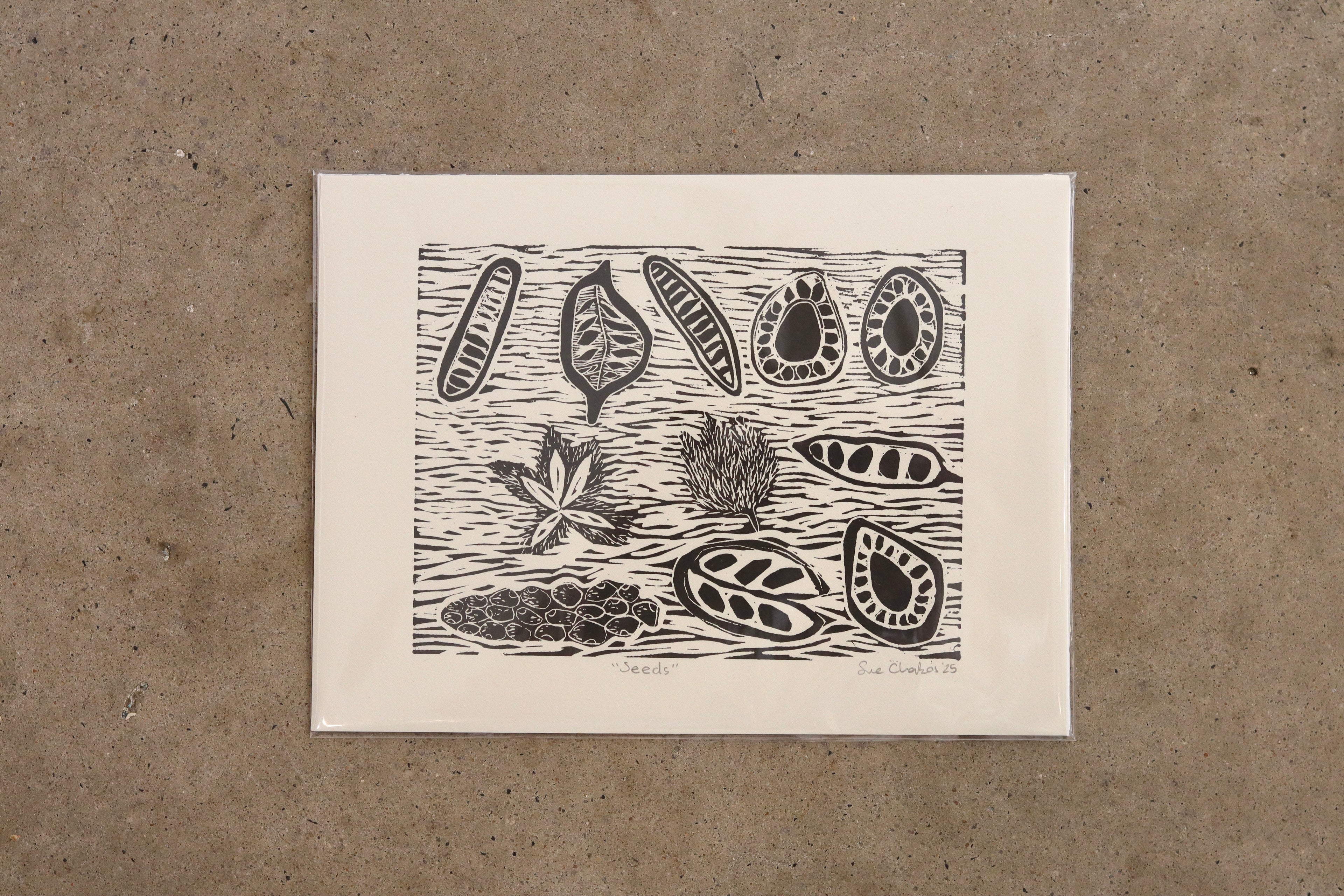 Seeds  (Unframed)- Sue Chakos