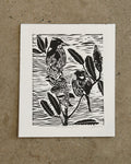 New England Honeyeaters (Unframed)- Sue Chakos