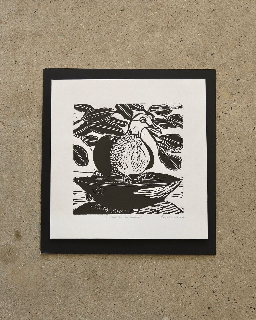Visitor To Our Garden (Unframed) - Sue Chakos