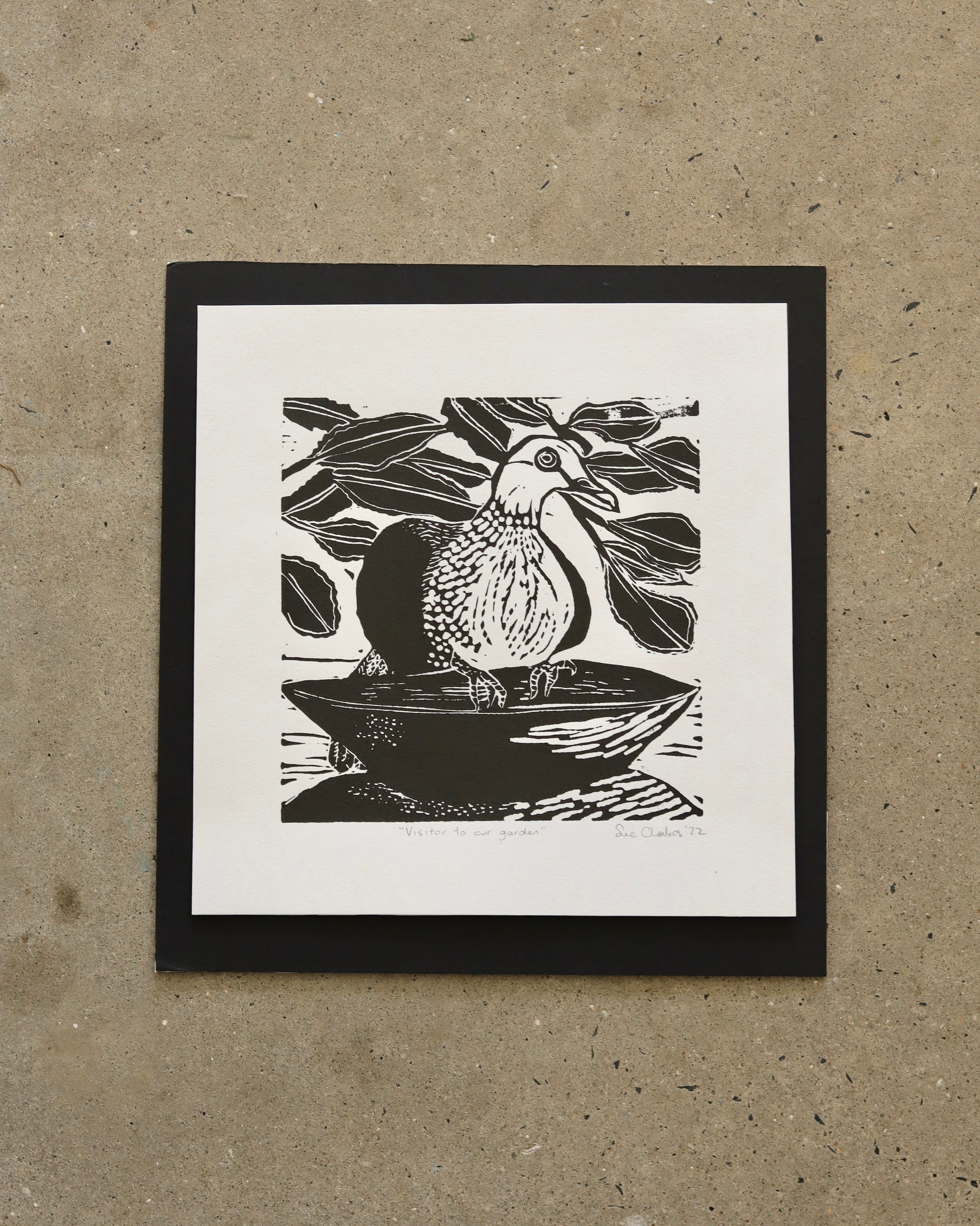 Visitor To Our Garden (Unframed) - Sue Chakos